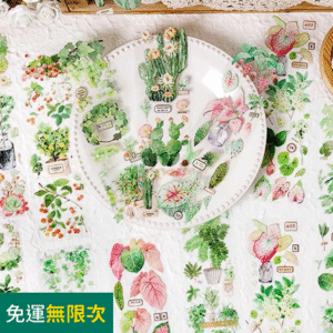 現貨🔺PET綠植手帳貼紙 透明貼紙 彩葉芋貼紙 防水貼紙 多肉貼紙 雨林植物貼紙 插畫貼紙 植物圖案 觀葉植物 貼紙